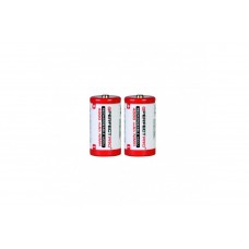 BATTERIJEN C (2 STUKS) 4000 MAH