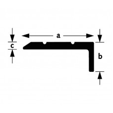 TRAPKANT ALUMINIUM ZILVER GEANODISEERD 25X20X2MM 100CM