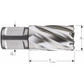 HSS KERNBOOR SILVER-LINE WELDON 19 13X30MM