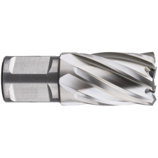 HSS KERNBOOR SILVER-LINE WELDON 19 12X30MM