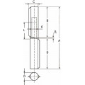 AANLASPAUMELLE RVS PEN & RING 080X12MM RVS / HPL WR SS 080