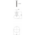 KNOP PADDENSTOEL 25MM SMEEDIJZER ZWART