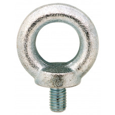 RINGSCHROEF DIN 580 6MM VERZ 580-06E