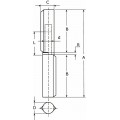 AANLASPAUMELLE RVS PEN RVS RING 100X16 RVS / HPL-WR SS 100